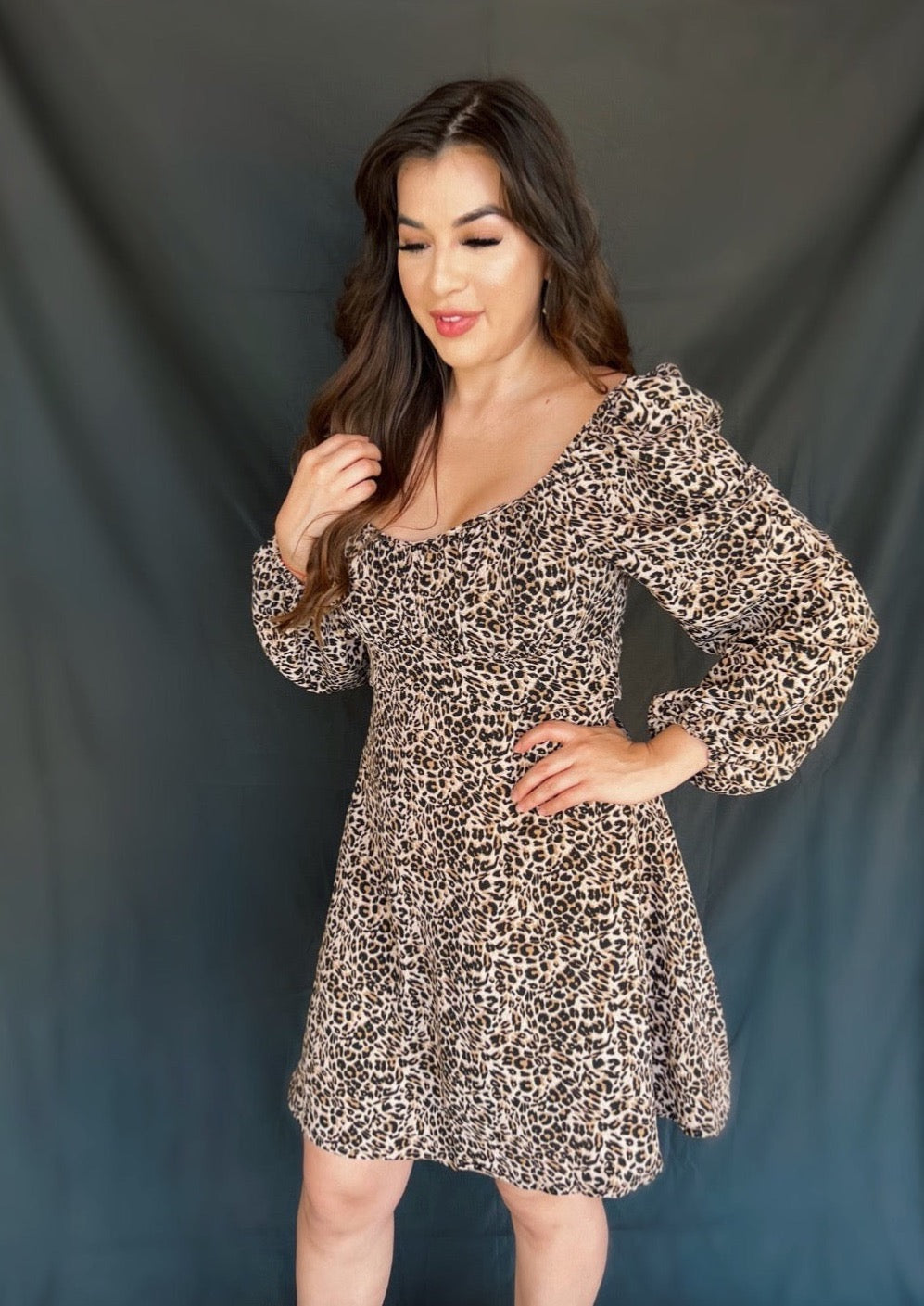 Theresa dress in Leopard